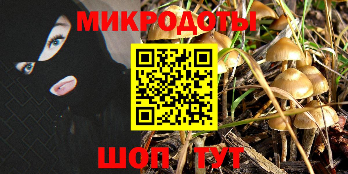 Псилоцибиновые грибы Cubensis Мценск