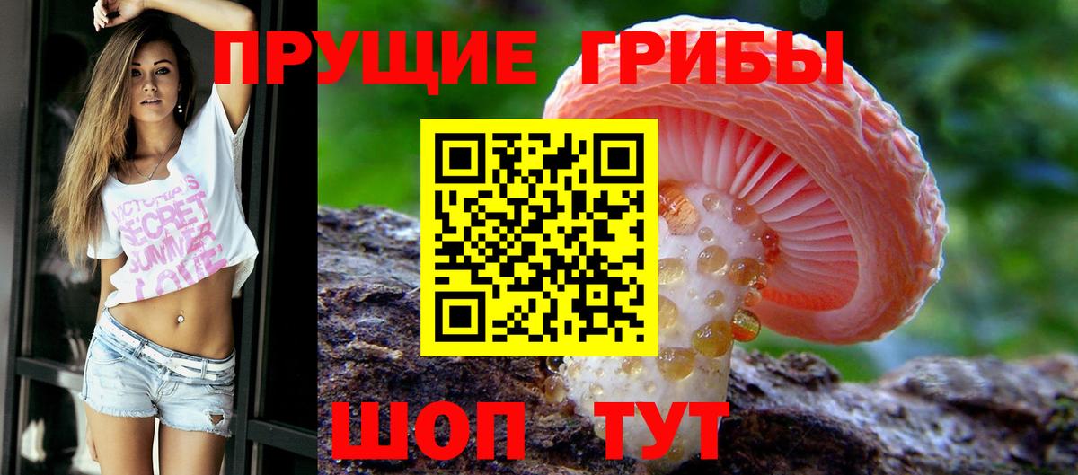 Мценск  Псилоцибиновые грибы Magic Shrooms  Вход с VPN 